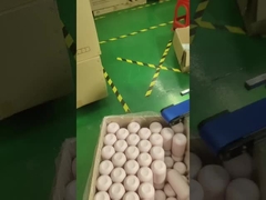 Máquina de serigrafia e embalagem